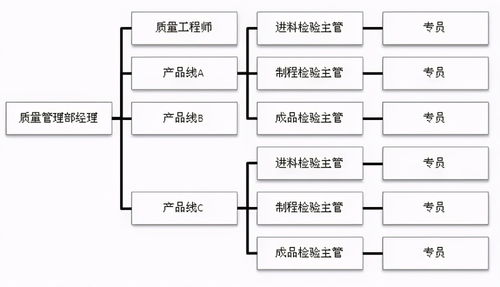 超棒企業質量組織架構圖，員工如何定位自己的位置